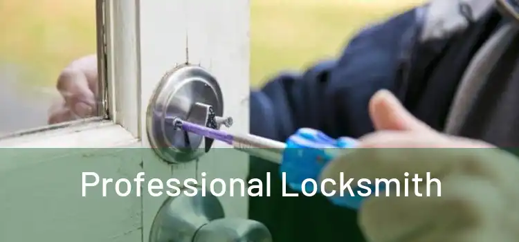  Professional Locksmith 